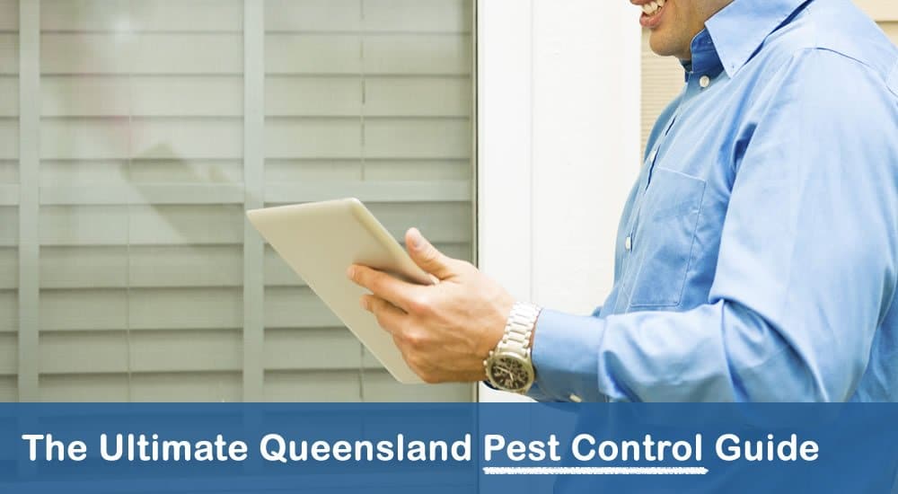 Ultimate Queensland Pest Control Guide